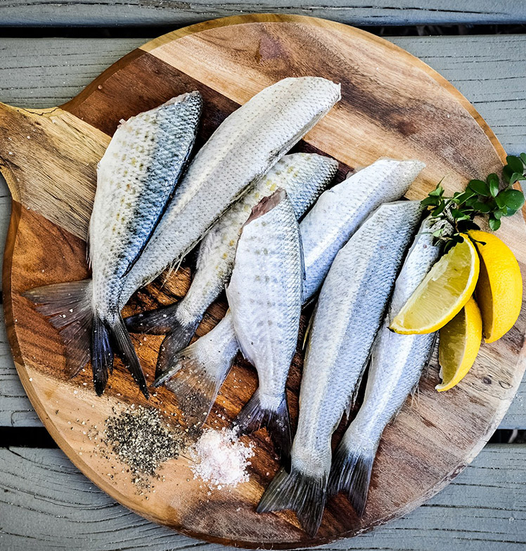 Restaurant de poisson Mandelieu-la-Napoule, cuisine familiale Biot